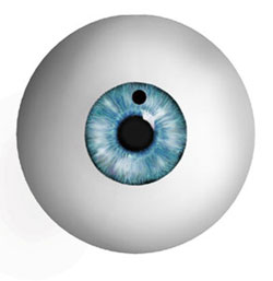 A small hole is placed in the iris to create a hole for fluid to drain from the back of the eye to the front of the eye.