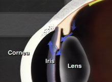 FluidCirculation